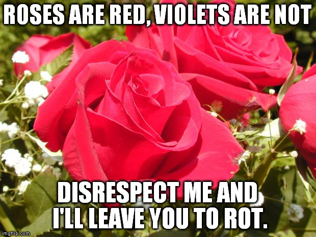 Roses | ROSES ARE RED, VIOLETS ARE NOT; DISRESPECT ME AND I'LL LEAVE YOU TO ROT. | image tagged in roses | made w/ Imgflip meme maker
