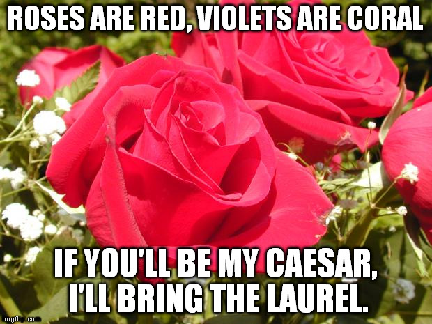 Roses | ROSES ARE RED, VIOLETS ARE CORAL; IF YOU'LL BE MY CAESAR, I'LL BRING THE LAUREL. | image tagged in roses | made w/ Imgflip meme maker