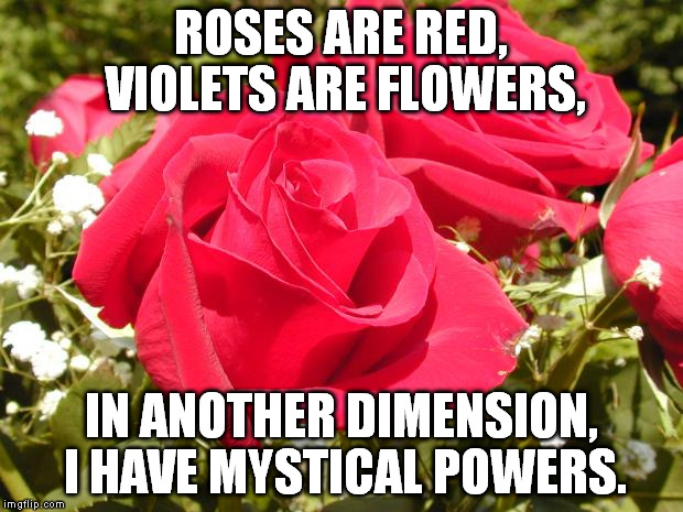 Roses | ROSES ARE RED, VIOLETS ARE FLOWERS, IN ANOTHER DIMENSION, I HAVE MYSTICAL POWERS. | image tagged in roses | made w/ Imgflip meme maker