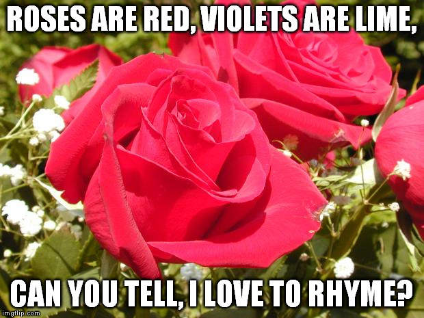 Roses | ROSES ARE RED, VIOLETS ARE LIME, CAN YOU TELL, I LOVE TO RHYME? | image tagged in roses | made w/ Imgflip meme maker
