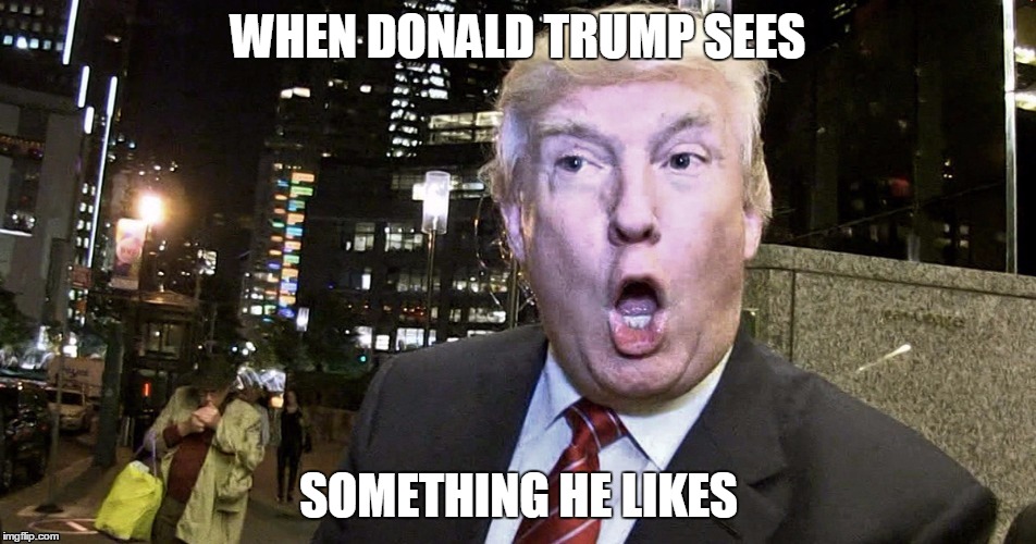 WHEN DONALD TRUMP SEES; SOMETHING HE LIKES | image tagged in donald trump | made w/ Imgflip meme maker