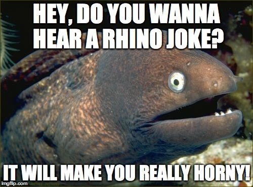 Bad Joke Eel | HEY, DO YOU WANNA HEAR A RHINO JOKE? IT WILL MAKE YOU REALLY HORNY! | image tagged in memes,bad joke eel | made w/ Imgflip meme maker