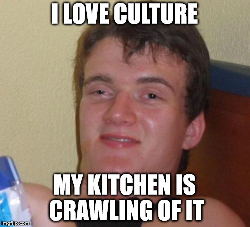 Culture is great | I LOVE CULTURE; MY KITCHEN IS CRAWLING OF IT | image tagged in memes,10 guy | made w/ Imgflip meme maker