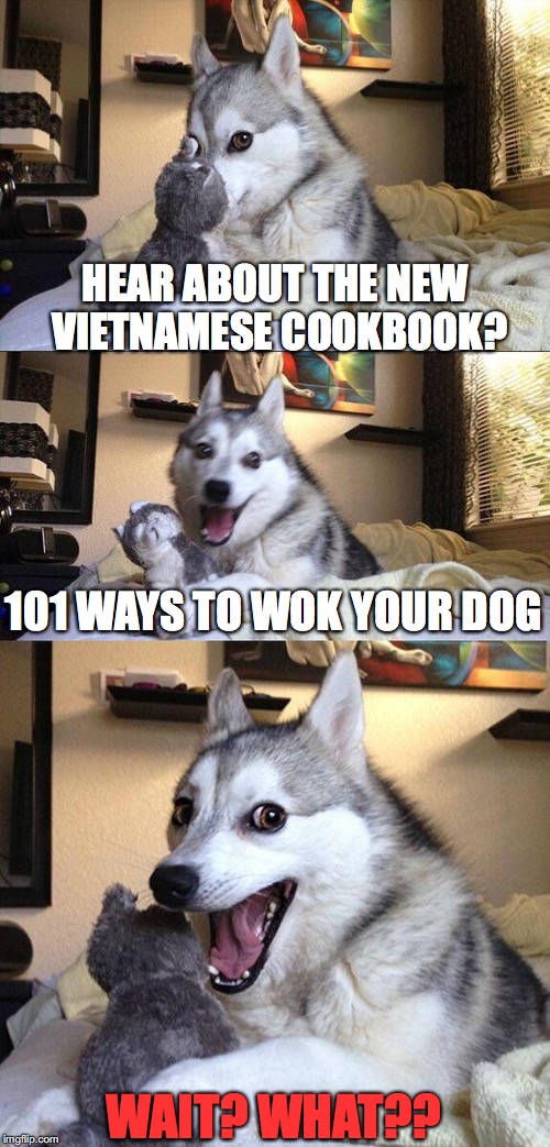 Unhappy Bad Pun Dog | HEAR ABOUT THE NEW VIETNAMESE COOKBOOK? 101 WAYS TO WOK YOUR DOG; WAIT? WHAT?? | image tagged in memes,bad pun dog | made w/ Imgflip meme maker