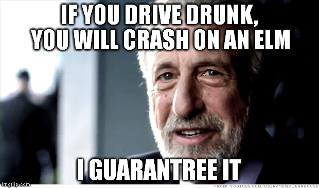 I Guarantee It | IF YOU DRIVE DRUNK, YOU WILL CRASH ON AN ELM; I GUARANTREE IT | image tagged in memes,i guarantee it | made w/ Imgflip meme maker