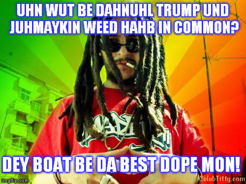 reggae stoner says | UHN WUT BE DAHNUHL TRUMP UND JUHMAYKIN WEED HAHB IN COMMON? DEY BOAT BE DA BEST DOPE MON! | image tagged in smoke weed everyday,funny,donald trump,stoner | made w/ Imgflip meme maker