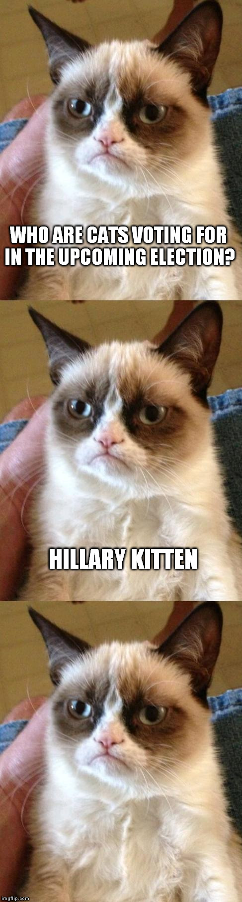 bad pun grumpy cat | WHO ARE CATS VOTING FOR IN THE UPCOMING ELECTION? HILLARY KITTEN | image tagged in grumpy cat,bad pun | made w/ Imgflip meme maker