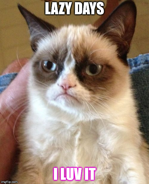 Grumpy Cat Meme | LAZY DAYS; I LUV IT | image tagged in memes,grumpy cat | made w/ Imgflip meme maker