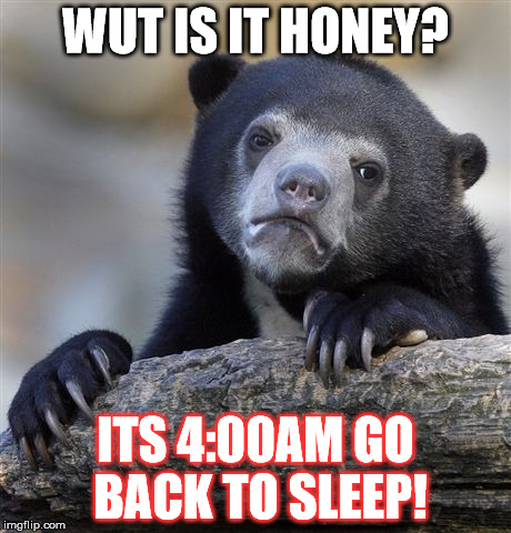 Confession Bear Meme | WUT IS IT HONEY? ITS 4:00AM GO BACK TO SLEEP! | image tagged in memes,confession bear | made w/ Imgflip meme maker