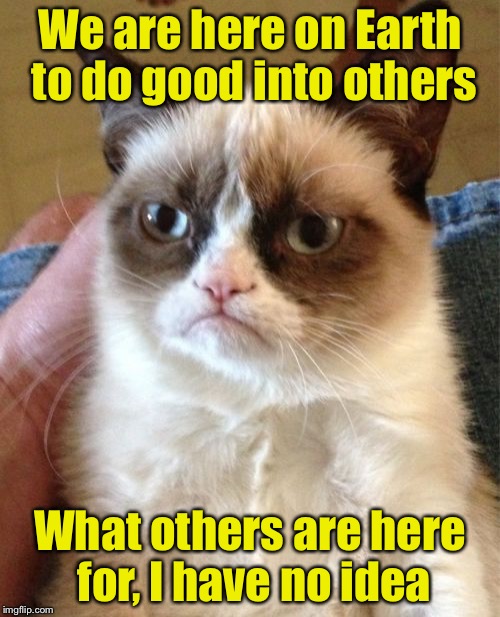 Grumpy Cat | We are here on Earth to do good into others; What others are here for, I have no idea | image tagged in memes,grumpy cat | made w/ Imgflip meme maker