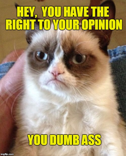 Grumpy Cat Meme | HEY,  YOU HAVE THE RIGHT TO YOUR OPINION YOU DUMB ASS | image tagged in memes,grumpy cat | made w/ Imgflip meme maker