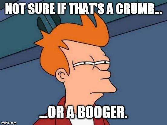 Either way I have to say something  | NOT SURE IF THAT'S A CRUMB... ...OR A BOOGER. | image tagged in memes,futurama fry,too funny,psa | made w/ Imgflip meme maker