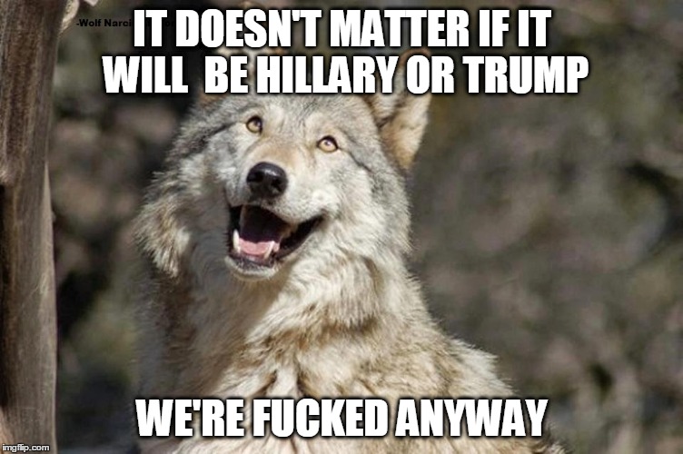 Trump or Hillary, Same puppets | IT DOESN'T MATTER IF IT WILL  BE HILLARY OR TRUMP; WE'RE FUCKED ANYWAY | image tagged in optimistic moon moon wolf vanadium wolf | made w/ Imgflip meme maker