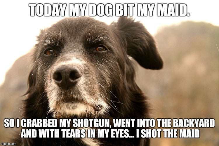 Family dog | TODAY MY DOG BIT MY MAID. SO I GRABBED MY SHOTGUN, WENT INTO THE BACKYARD AND WITH TEARS IN MY EYES... I SHOT THE MAID | image tagged in dogs,funny | made w/ Imgflip meme maker