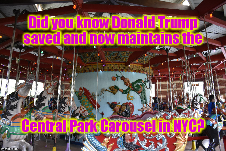 A Trump Improvement Project |  Did you know Donald Trump saved and now maintains the; Central Park Carousel in NYC? | image tagged in memes,donald trump,carousel,new york city,politics | made w/ Imgflip meme maker