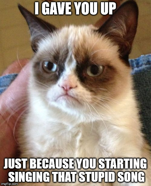 Grumpy Cat Meme | I GAVE YOU UP JUST BECAUSE YOU STARTING SINGING THAT STUPID SONG | image tagged in memes,grumpy cat | made w/ Imgflip meme maker