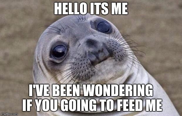 Hello  | HELLO ITS ME; I'VE BEEN WONDERING IF YOU GOING TO FEED ME | image tagged in memes,awkward moment sealion | made w/ Imgflip meme maker