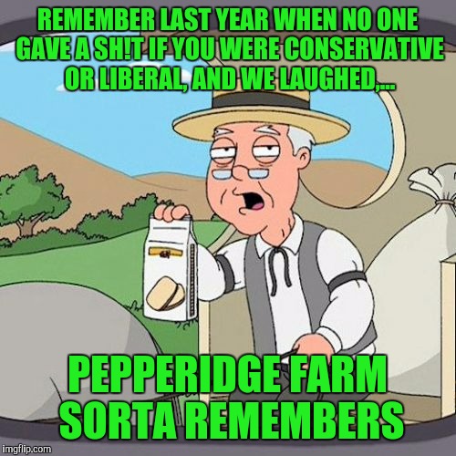 Pepperidge Farm Remembers | REMEMBER LAST YEAR WHEN NO ONE GAVE A SH!T IF YOU WERE CONSERVATIVE OR LIBERAL, AND WE LAUGHED,... PEPPERIDGE FARM SORTA REMEMBERS | image tagged in memes,pepperidge farm remembers | made w/ Imgflip meme maker