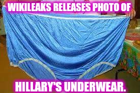 Jabba the Butt. | WIKILEAKS RELEASES PHOTO OF; HILLARY'S UNDERWEAR. | image tagged in hillary clinton,underwear,wikileaks,jabba,funny,meme | made w/ Imgflip meme maker