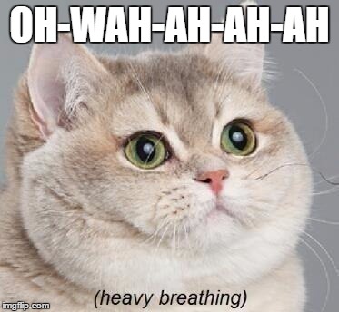 Heavy Breathing Cat | OH-WAH-AH-AH-AH | image tagged in memes,heavy breathing cat | made w/ Imgflip meme maker