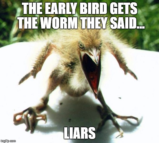 Angry bird | THE EARLY BIRD GETS THE WORM THEY SAID... LIARS | image tagged in angry bird,sewmyeyesshut,lynch1979,memes,lol | made w/ Imgflip meme maker