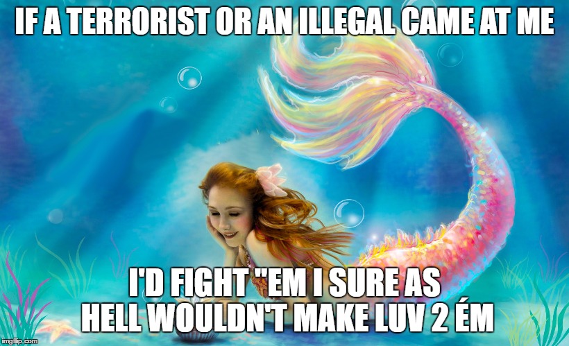 Mermaid | IF A TERRORIST OR AN ILLEGAL CAME AT ME; I'D FIGHT "EM I SURE AS HELL WOULDN'T MAKE LUV 2 ÉM | image tagged in mermaid | made w/ Imgflip meme maker