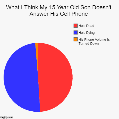 image tagged in funny,pie charts | made w/ Imgflip chart maker