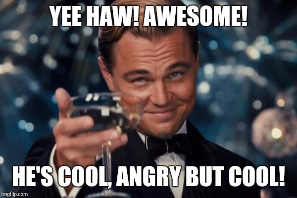 Leonardo Dicaprio Cheers Meme | YEE HAW! AWESOME! HE'S COOL, ANGRY BUT COOL! | image tagged in memes,leonardo dicaprio cheers | made w/ Imgflip meme maker