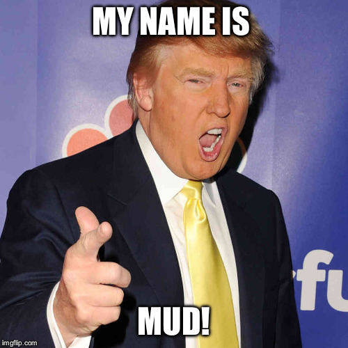 donald trump | MY NAME IS; MUD! | image tagged in donald trump | made w/ Imgflip meme maker