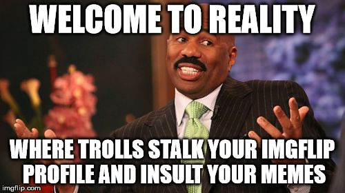 WELCOME TO REALITY WHERE TROLLS STALK YOUR IMGFLIP PROFILE AND INSULT YOUR MEMES | image tagged in memes,steve harvey | made w/ Imgflip meme maker