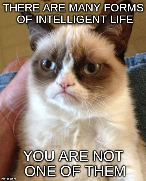 Grumpy Cat | THERE ARE MANY FORMS OF INTELLIGENT LIFE; YOU ARE NOT ONE OF THEM | image tagged in memes,grumpy cat | made w/ Imgflip meme maker