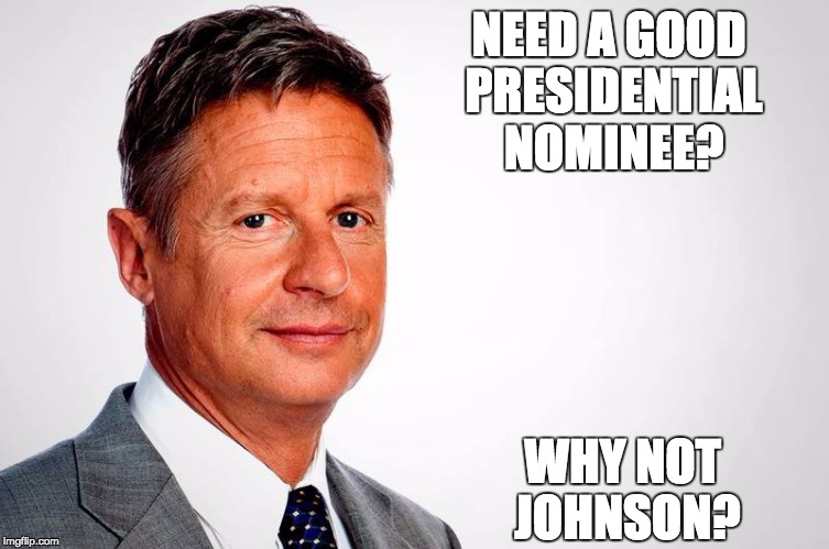 NEED A GOOD PRESIDENTIAL NOMINEE? WHY NOT JOHNSON? | image tagged in gary johnson feelthejohnson | made w/ Imgflip meme maker