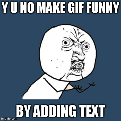 Y U No Meme | Y U NO MAKE GIF FUNNY BY ADDING TEXT | image tagged in memes,y u no | made w/ Imgflip meme maker