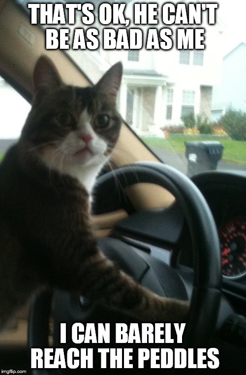 THAT'S OK, HE CAN'T BE AS BAD AS ME I CAN BARELY REACH THE PEDDLES | image tagged in jojo the driving cat | made w/ Imgflip meme maker