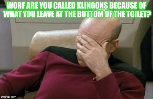 Captain Picard Facepalm | WORF ARE YOU CALLED KLINGONS BECAUSE OF WHAT YOU LEAVE AT THE BOTTOM OF THE TOILET? | image tagged in memes,captain picard facepalm | made w/ Imgflip meme maker