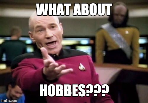 Picard Wtf Meme | WHAT ABOUT HOBBES??? | image tagged in memes,picard wtf | made w/ Imgflip meme maker