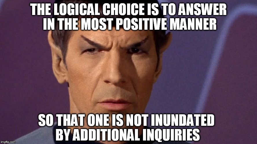 THE LOGICAL CHOICE IS TO ANSWER IN THE MOST POSITIVE MANNER SO THAT ONE IS NOT INUNDATED BY ADDITIONAL INQUIRIES | image tagged in spock | made w/ Imgflip meme maker