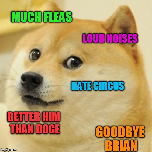 Doge Meme | MUCH FLEAS LOUD NOISES HATE CIRCUS BETTER HIM THAN DOGE GOODBYE BRIAN | image tagged in memes,doge | made w/ Imgflip meme maker