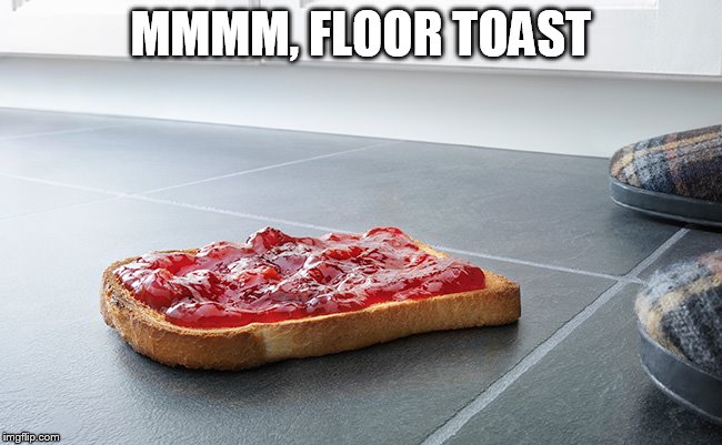 MMMM, FLOOR TOAST | image tagged in food on the floor | made w/ Imgflip meme maker