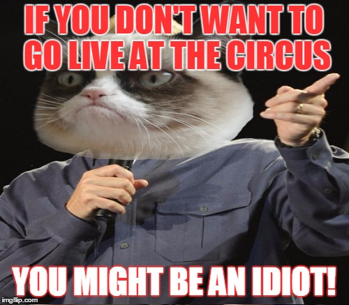 IF YOU DON'T WANT TO GO LIVE AT THE CIRCUS YOU MIGHT BE AN IDIOT! | made w/ Imgflip meme maker