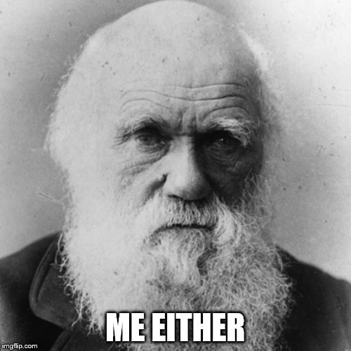 ME EITHER | image tagged in darwin | made w/ Imgflip meme maker