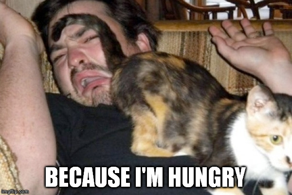 BECAUSE I'M HUNGRY | made w/ Imgflip meme maker