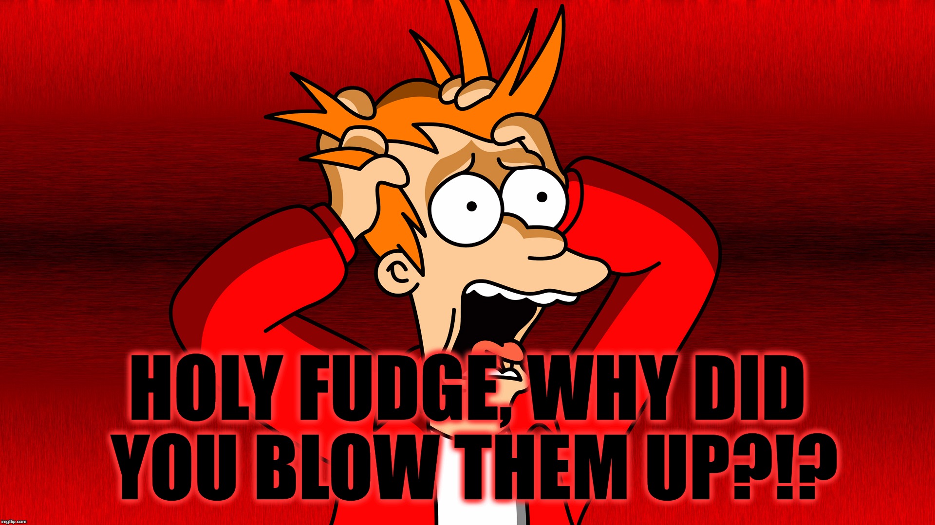 Fry Panic | HOLY FUDGE, WHY DID YOU BLOW THEM UP?!? | image tagged in fry panic | made w/ Imgflip meme maker