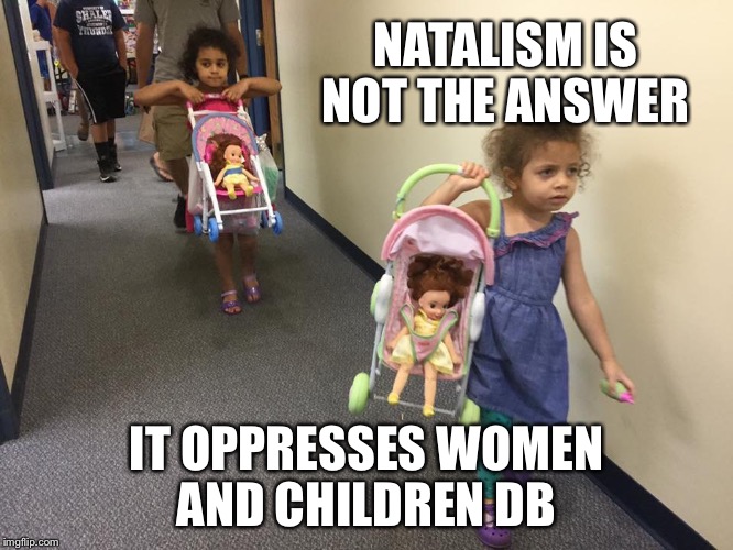 NATALISM IS NOT THE ANSWER; IT OPPRESSES WOMEN AND CHILDREN DB | image tagged in natalism is not the answer antinatalism | made w/ Imgflip meme maker