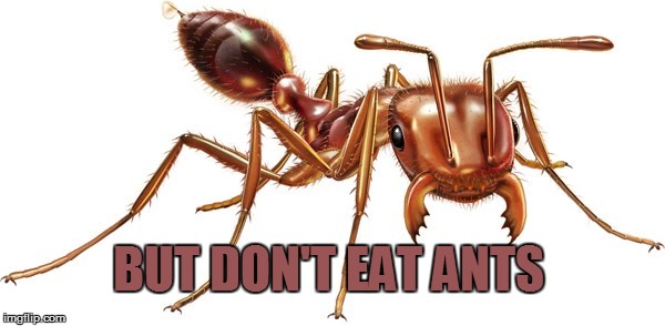 BUT DON'T EAT ANTS | made w/ Imgflip meme maker