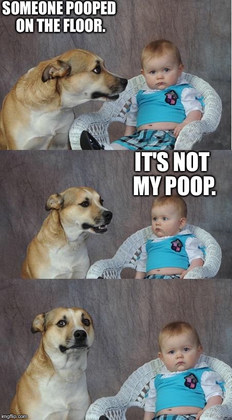 Bad joke dog | SOMEONE POOPED ON THE FLOOR. IT'S NOT MY POOP. | image tagged in bad joke dog | made w/ Imgflip meme maker