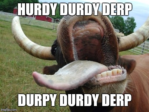 HURDY DURDY DERP DURPY DURDY DERP | made w/ Imgflip meme maker