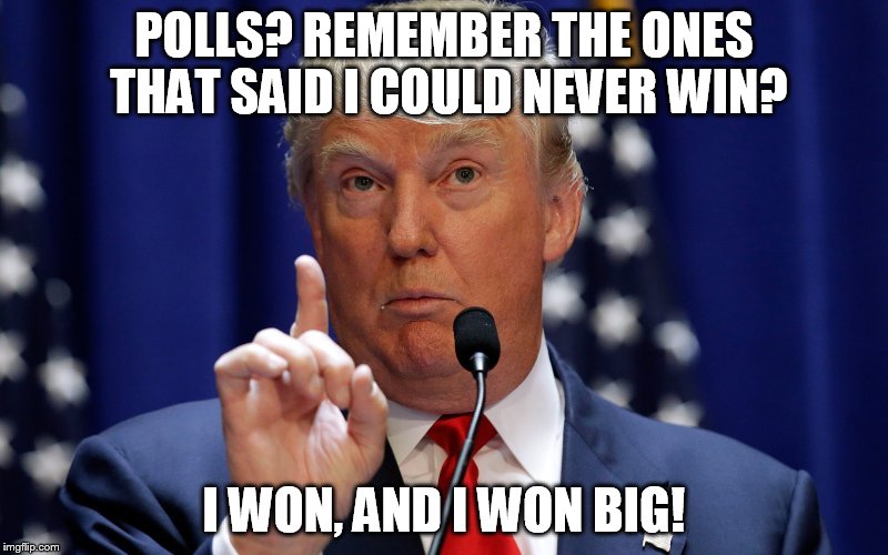Donald Trump | POLLS? REMEMBER THE ONES THAT SAID I COULD NEVER WIN? I WON, AND I WON BIG! | image tagged in donald trump | made w/ Imgflip meme maker