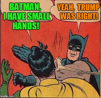 Batman Slapping Robin Meme | BATMAN,  I HAVE SMALL HANDS! YEAH,  TRUMP WAS RIGHT! | image tagged in memes,batman slapping robin | made w/ Imgflip meme maker