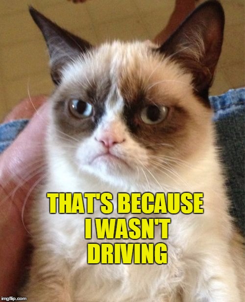 Grumpy Cat Meme | THAT'S BECAUSE I WASN'T DRIVING | image tagged in memes,grumpy cat | made w/ Imgflip meme maker